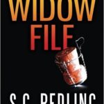 he Widow File (A Dani Britton Thriller) Review